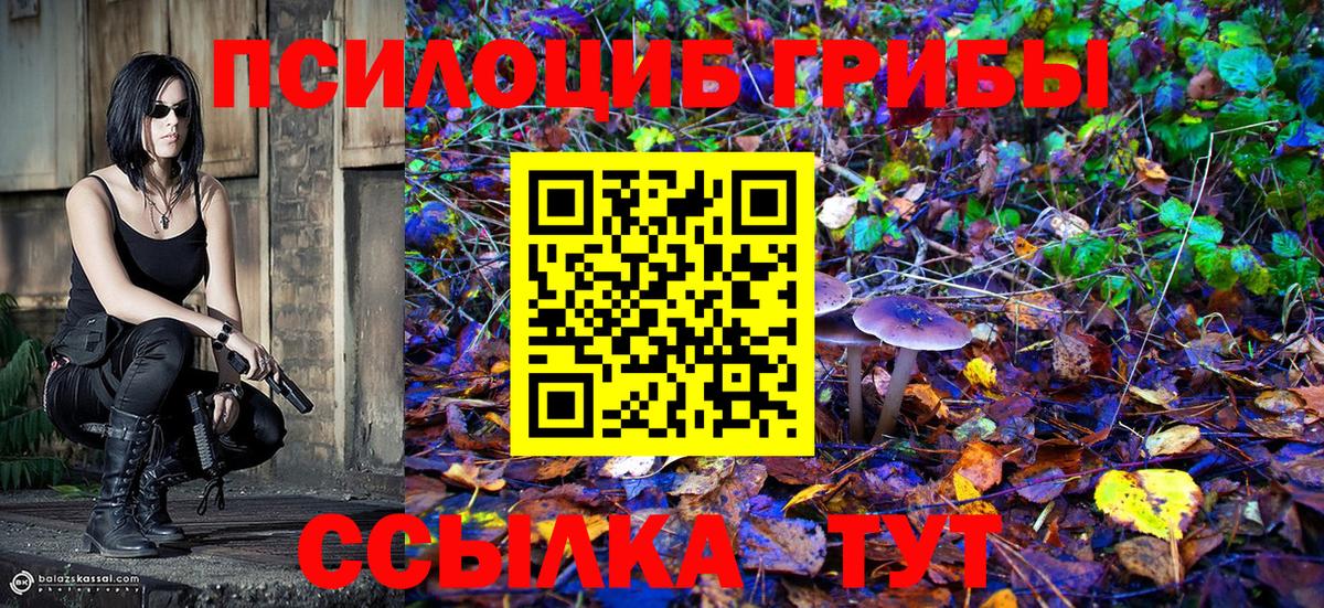 наркота  Вход с VPN  Городец  Галлюциногенные грибы Psilocybe  Псилоцибиновые грибы Magic Shrooms 